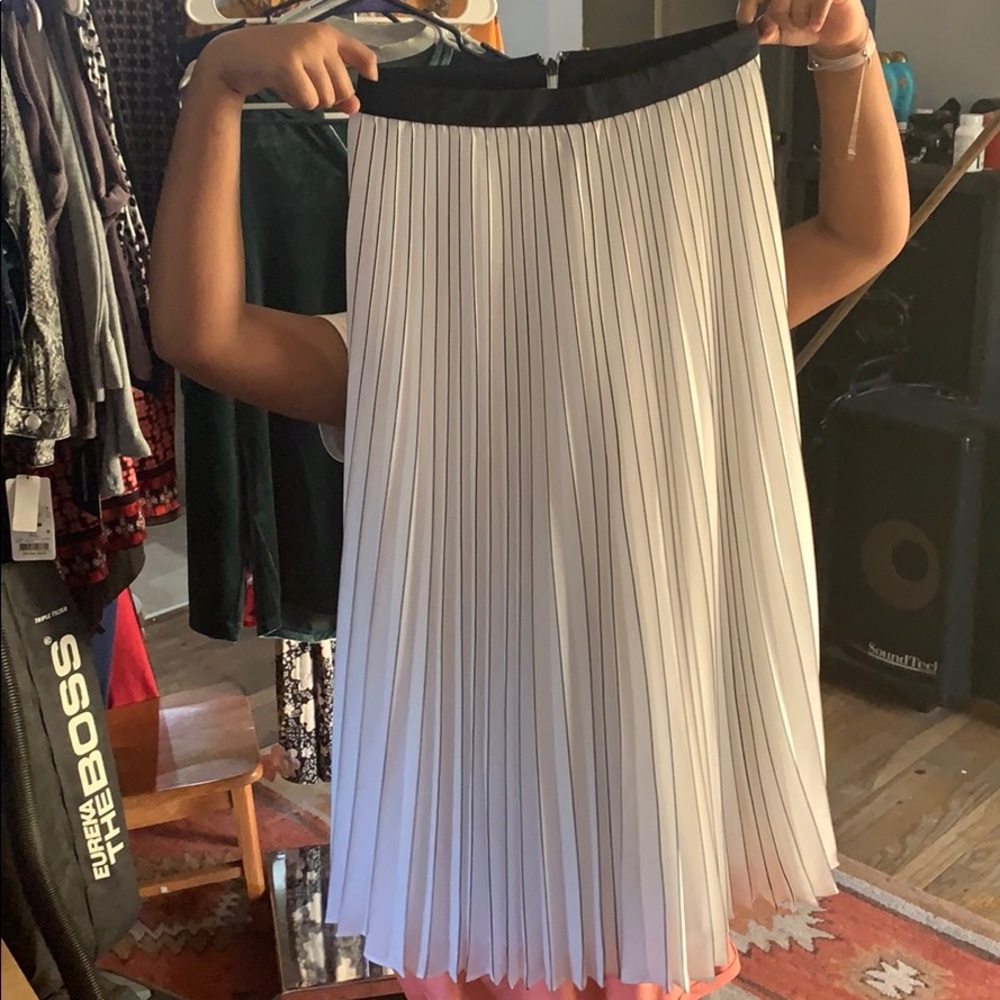 White and blue striped skirt